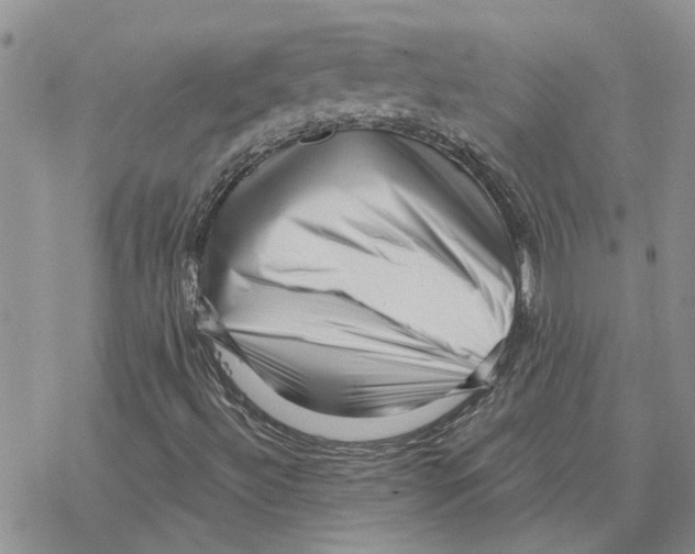 X0000077311492200611171704