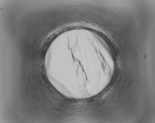 X0000077311494200611171704