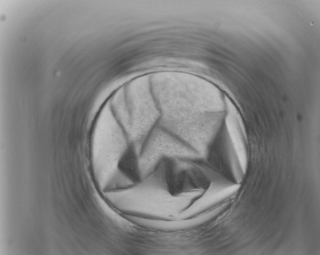 X0000077311531200611171704