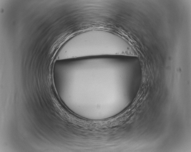 X0000077320002200610200855