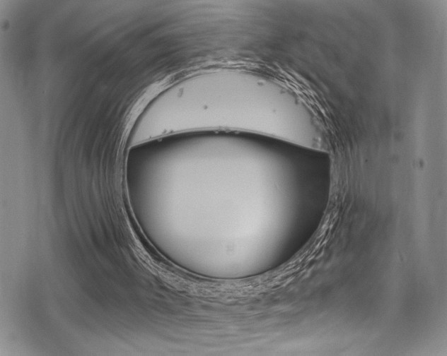 X0000077320003200610200855