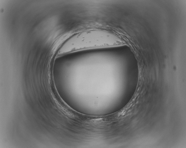 X0000077320054200610200853