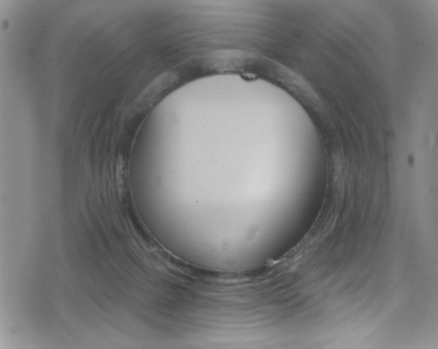 X0000077320073200610200854