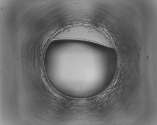 X0000077320097200610200853