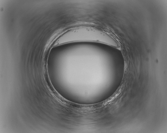X0000077320101200610200853