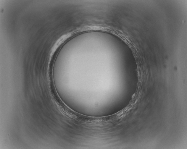 X0000077320104200610200853