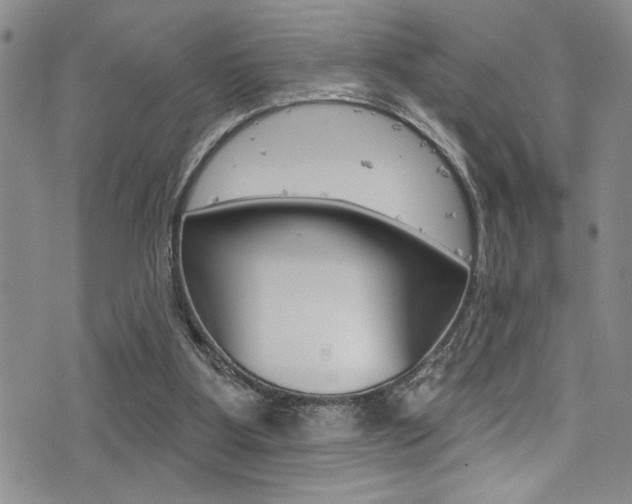 X0000077320107200610200853