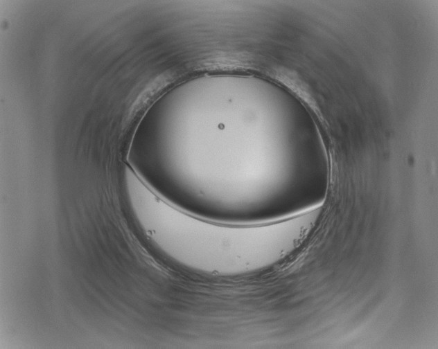 X0000077320109200610200853
