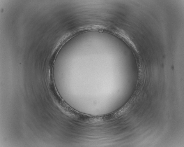X0000077320110200610200853