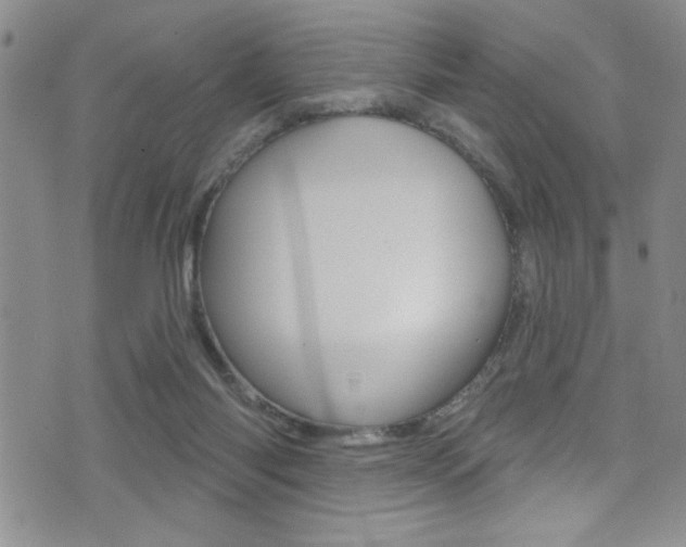 X0000077320118200610200853