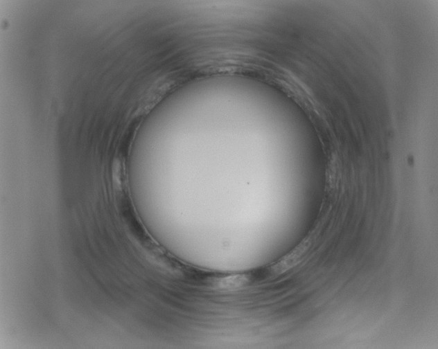 X0000077320122200610200853