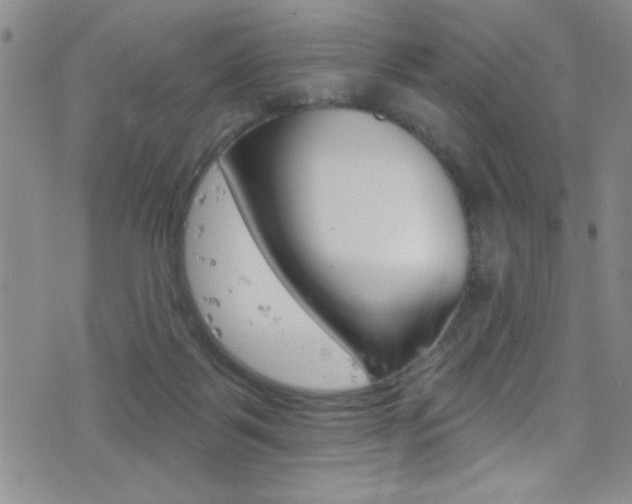 X0000077320123200610200853