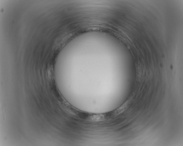 X0000077320126200610200853