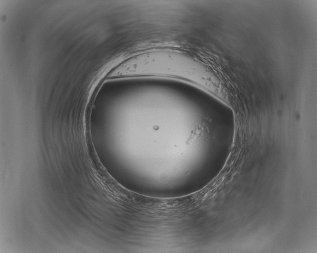 X0000077320148200610200852