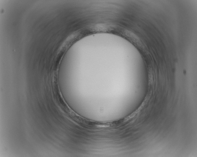 X0000077320167200610200852