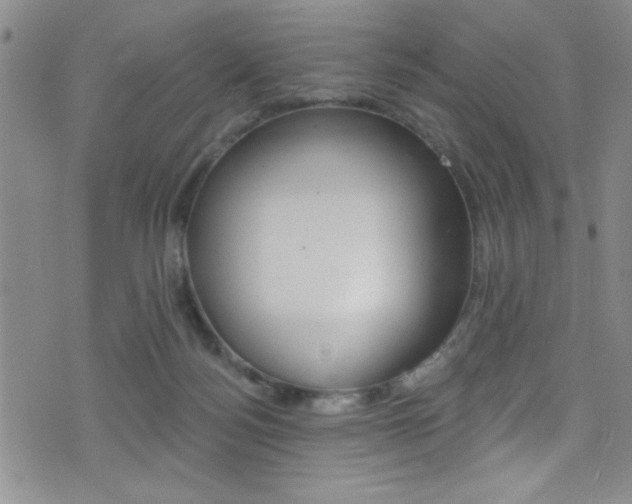 X0000077320172200610200852