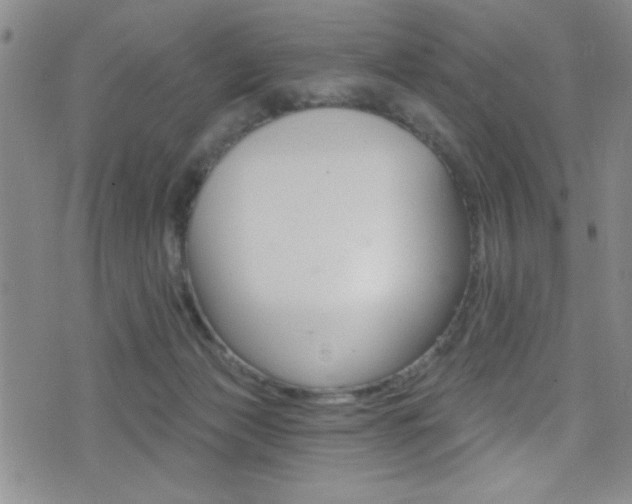 X0000077320173200610200852