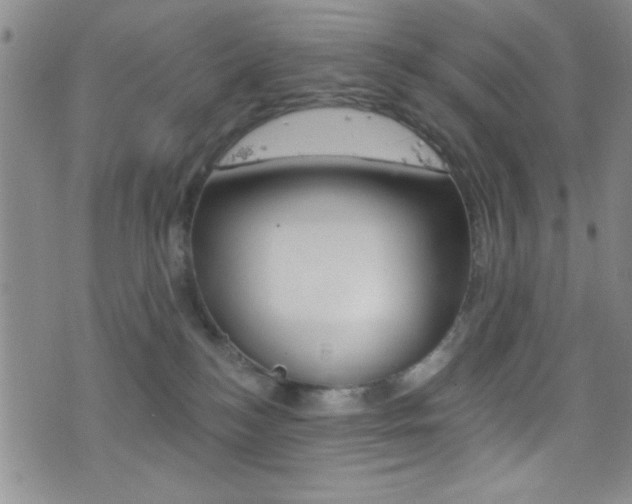 X0000077320184200610200852