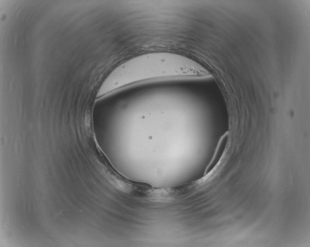 X0000077320192200610200852
