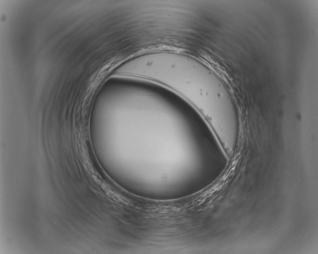 X0000077320193200610200852