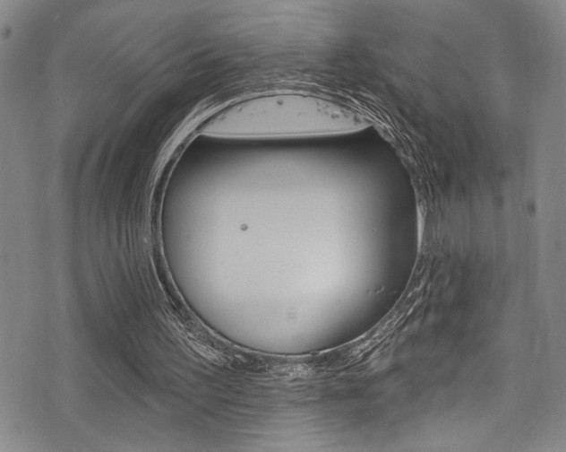 X0000077320195200610200852
