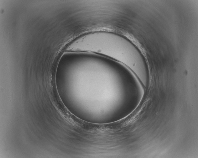 X0000077320201200610200851