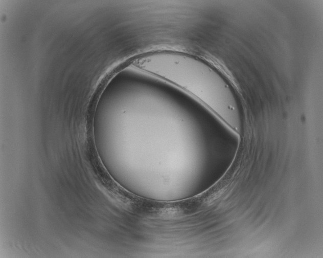 X0000077320204200610200851