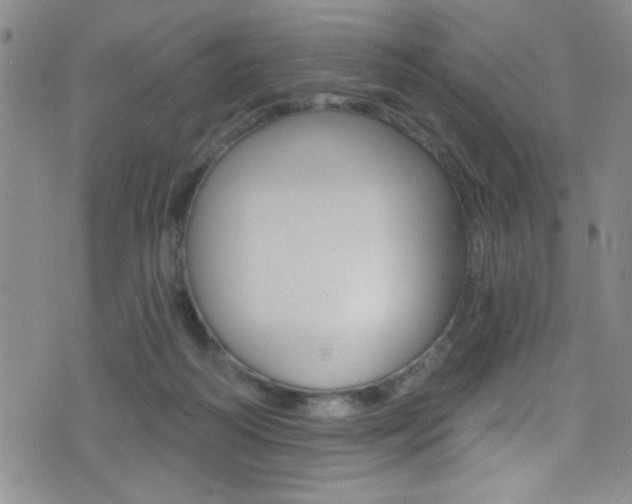 X0000077320218200610200851