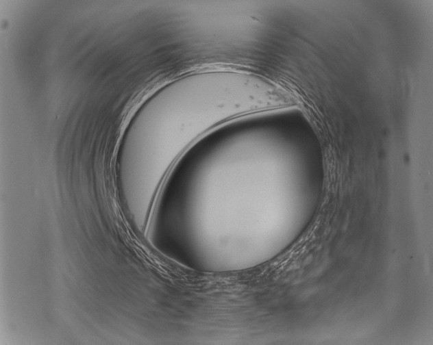 X0000077320289200610200850