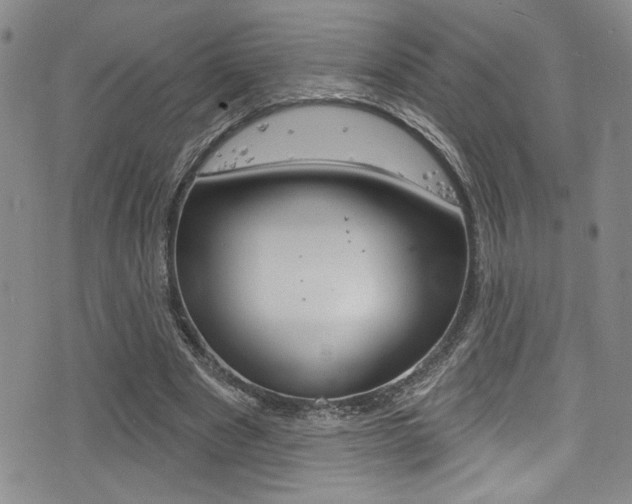 X0000077320489200610200847