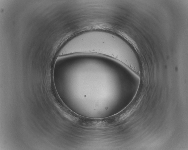 X0000077320493200610200847