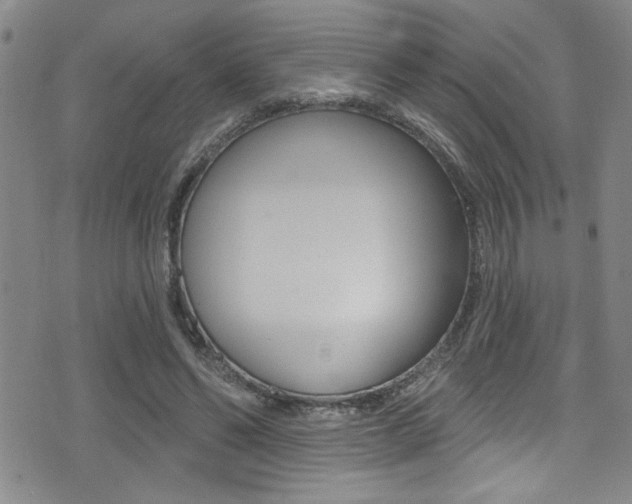 X0000077320494200610200847