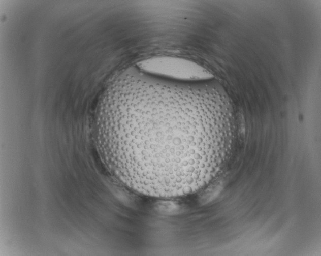 X0000077320519200610200846