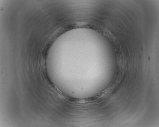 X0000077320565200610200846