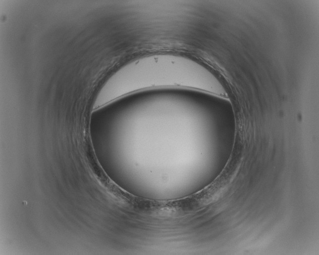 X0000077320593200610200845