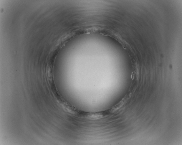 X0000077320619200610200845