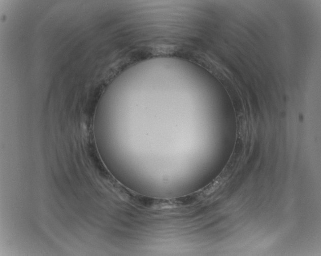 X0000077320655200610200844
