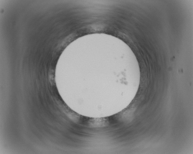 X0000077320672200610200844