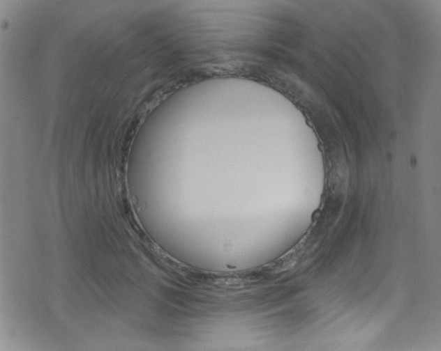 X0000077320749200610200843