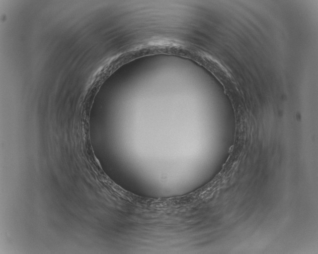 X0000077320776200610200842