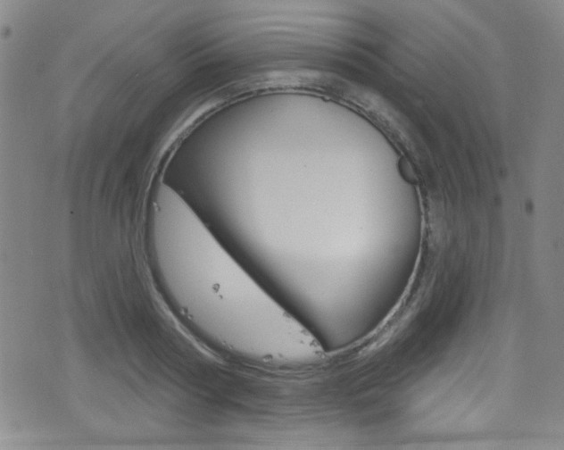 X0000077320794200610200842