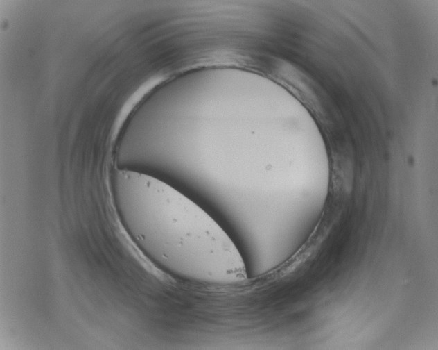 X0000077320804200610200842