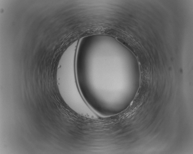 X0000077320818200610200841