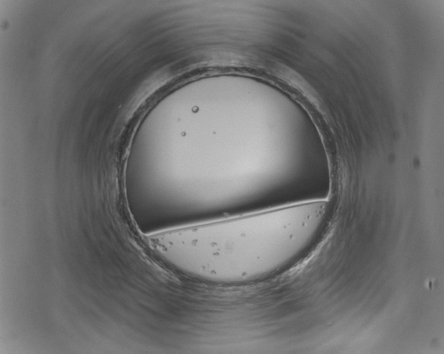 X0000077320829200610200841