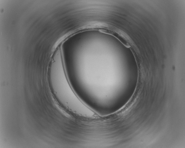 X0000077320842200610200841
