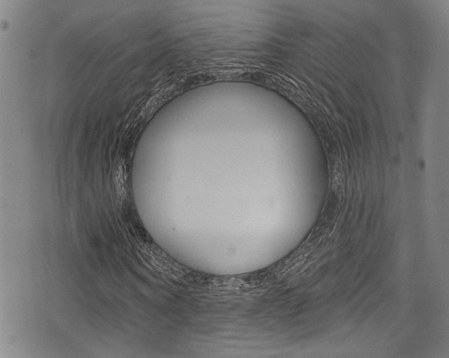 X0000077320866200610200841