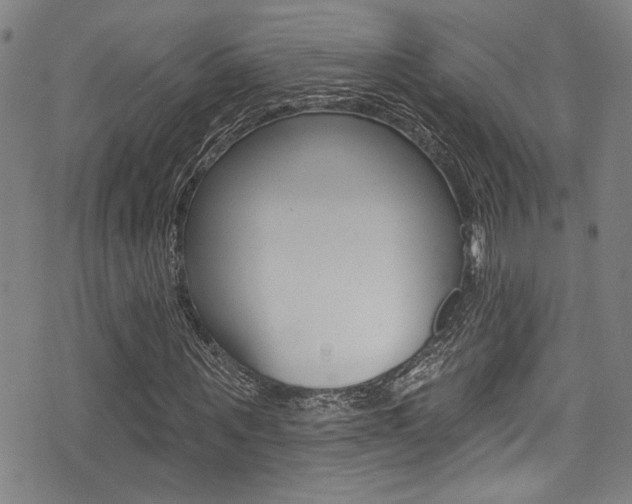 X0000077320867200610200841