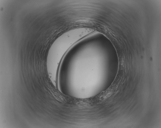 X0000077320868200610200841