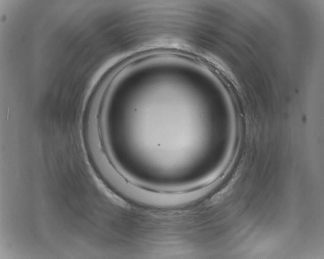 X0000077320942200610200840