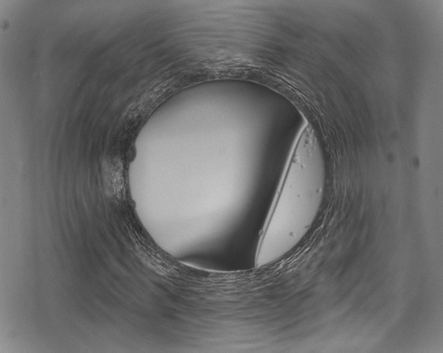 X0000077320963200610200839